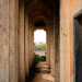 Camminando lungo la suggestiva balconata siamo assediati dai colombi che tra le colonne hanno allestito numerosi nidi e coperto il pavimento con un tappeto di escrementi